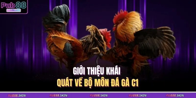 Giới thiệu khái quát về bộ môn đá gà C1 