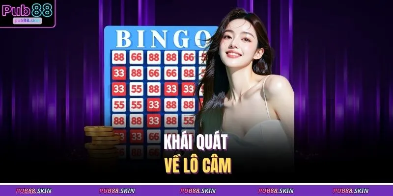 Khái quát về lô câm